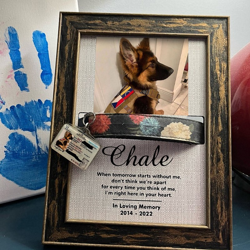 Personalized Memorial Pet Loss Sign Collar Frame Sympathy Gift For Pet Lovers