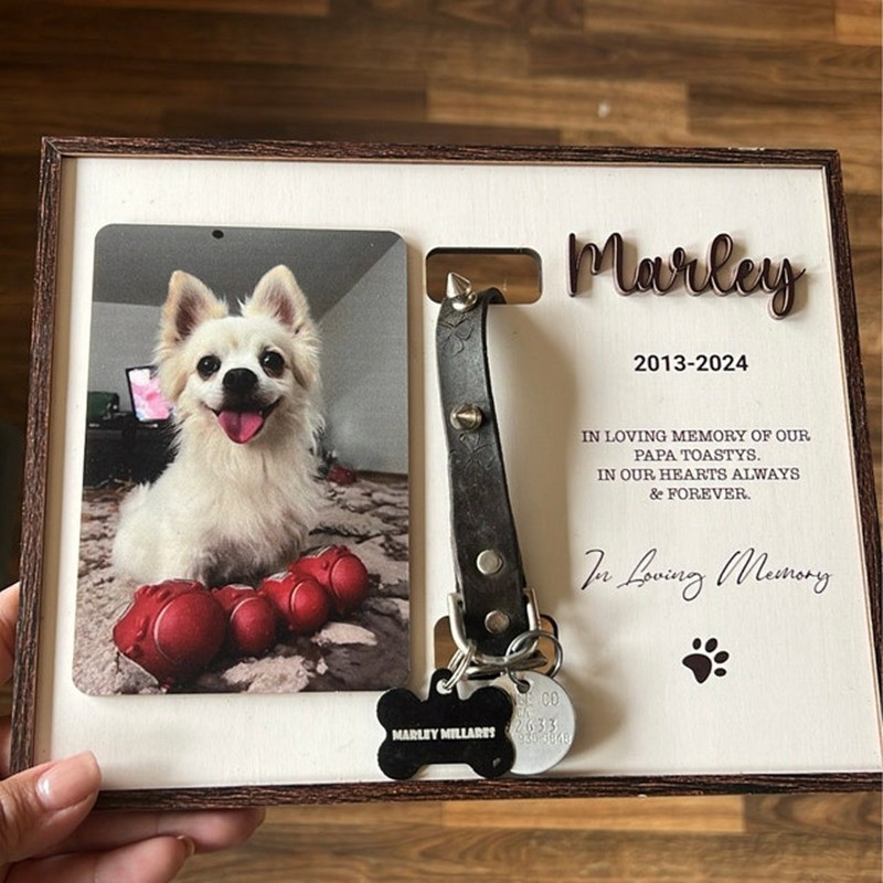 Personalized Dog Collar Holder Memorial Frame Pet Loss Gift