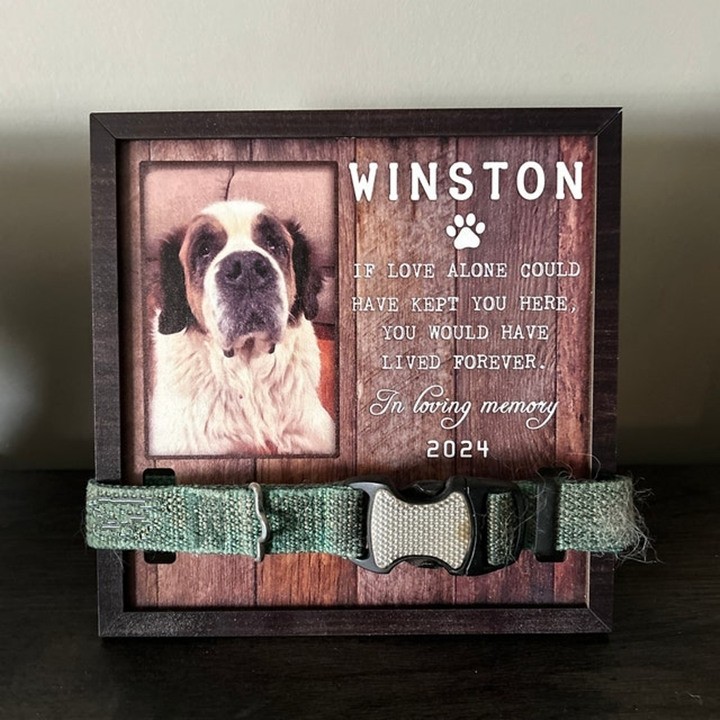 Personalized Dog Collar Holder Memorial Frame Pet Loss Gift