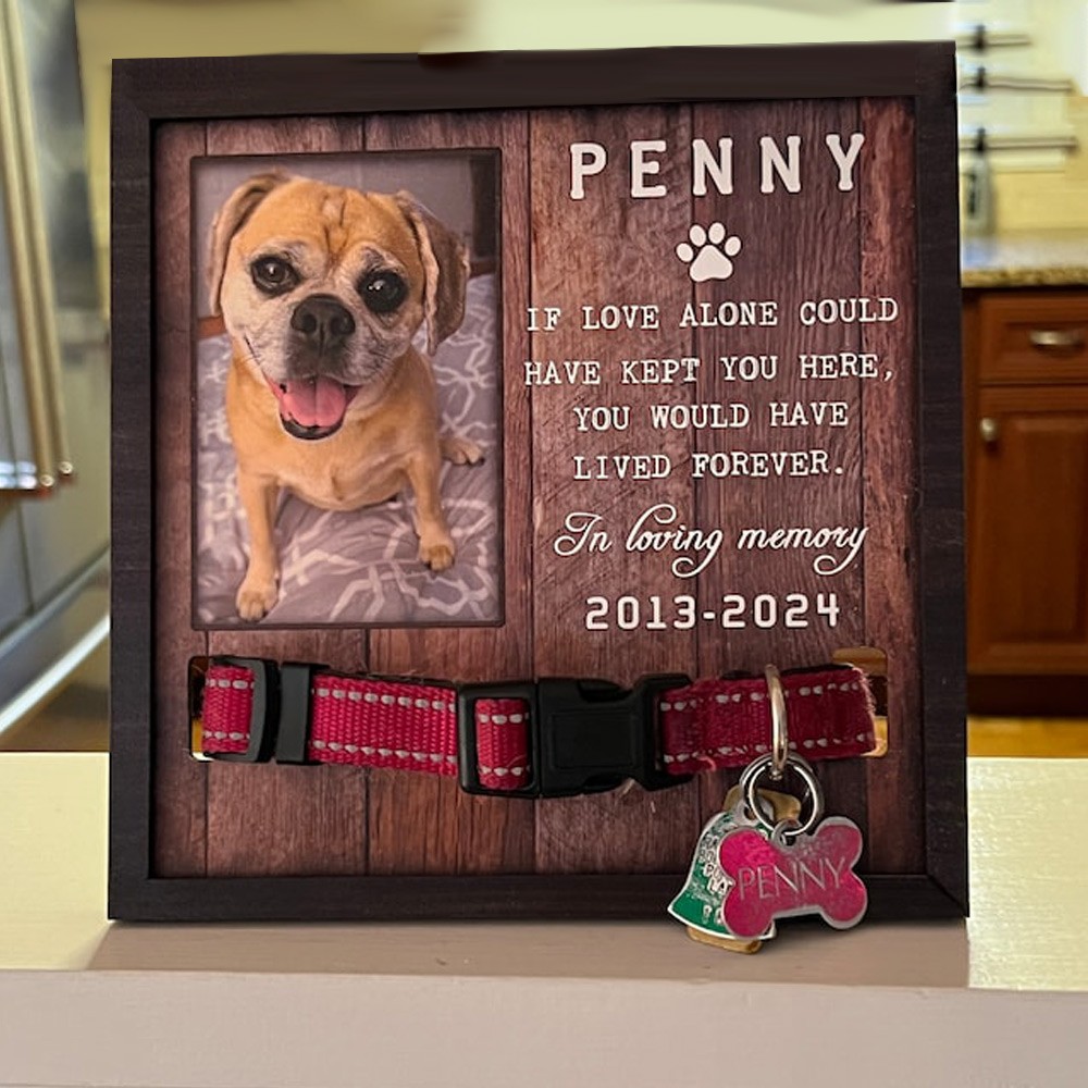 Personalized Dog Collar Holder Memorial Frame Pet Loss Gift