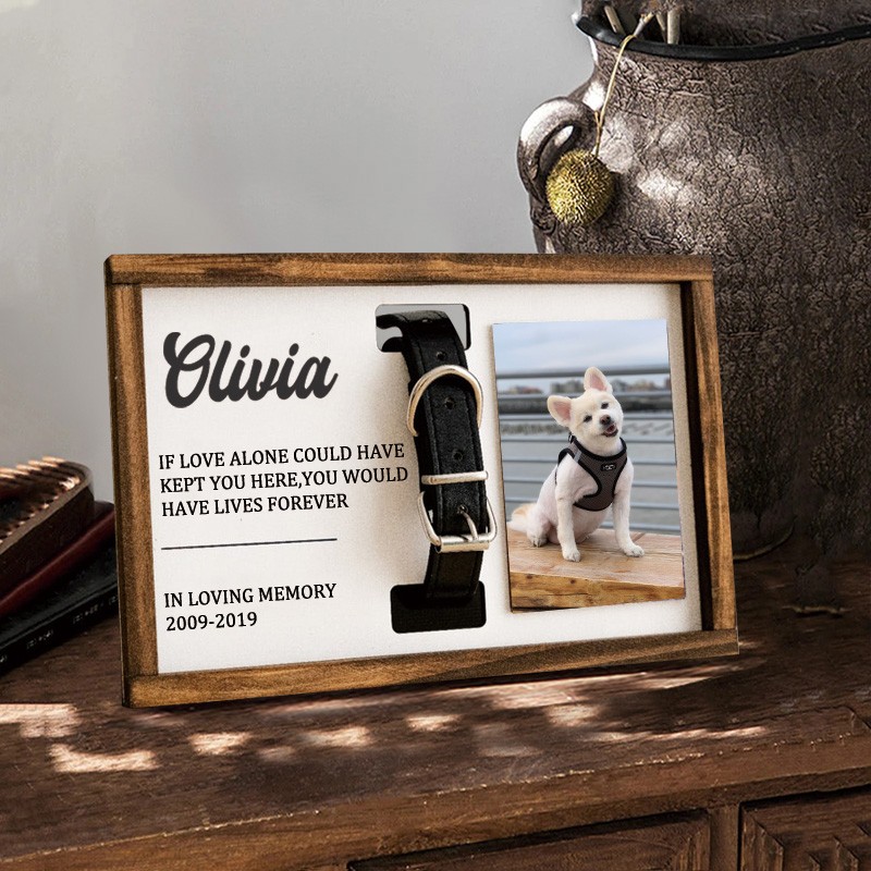 Personalized Loss of Pet Collar Frame Memorial Gift For Pet Lovers