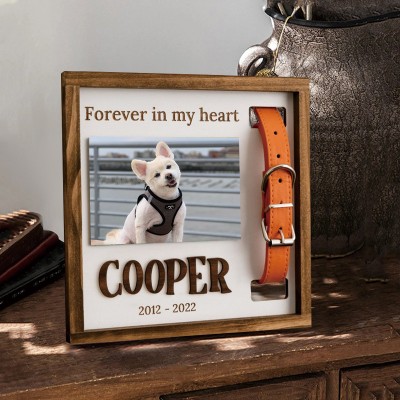 Personalized Loss of Pet Collar Frame Memorial Gift For Pet Lovers