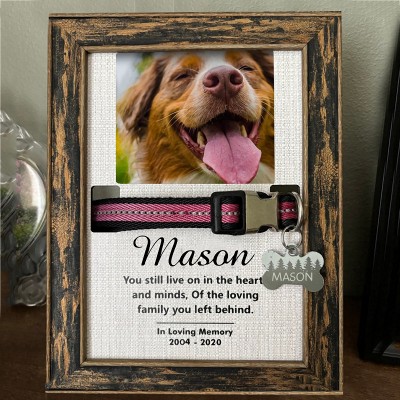 Personalized Memorial Pet Loss Sign Collar Frame Sympathy Gift For Pet Lovers